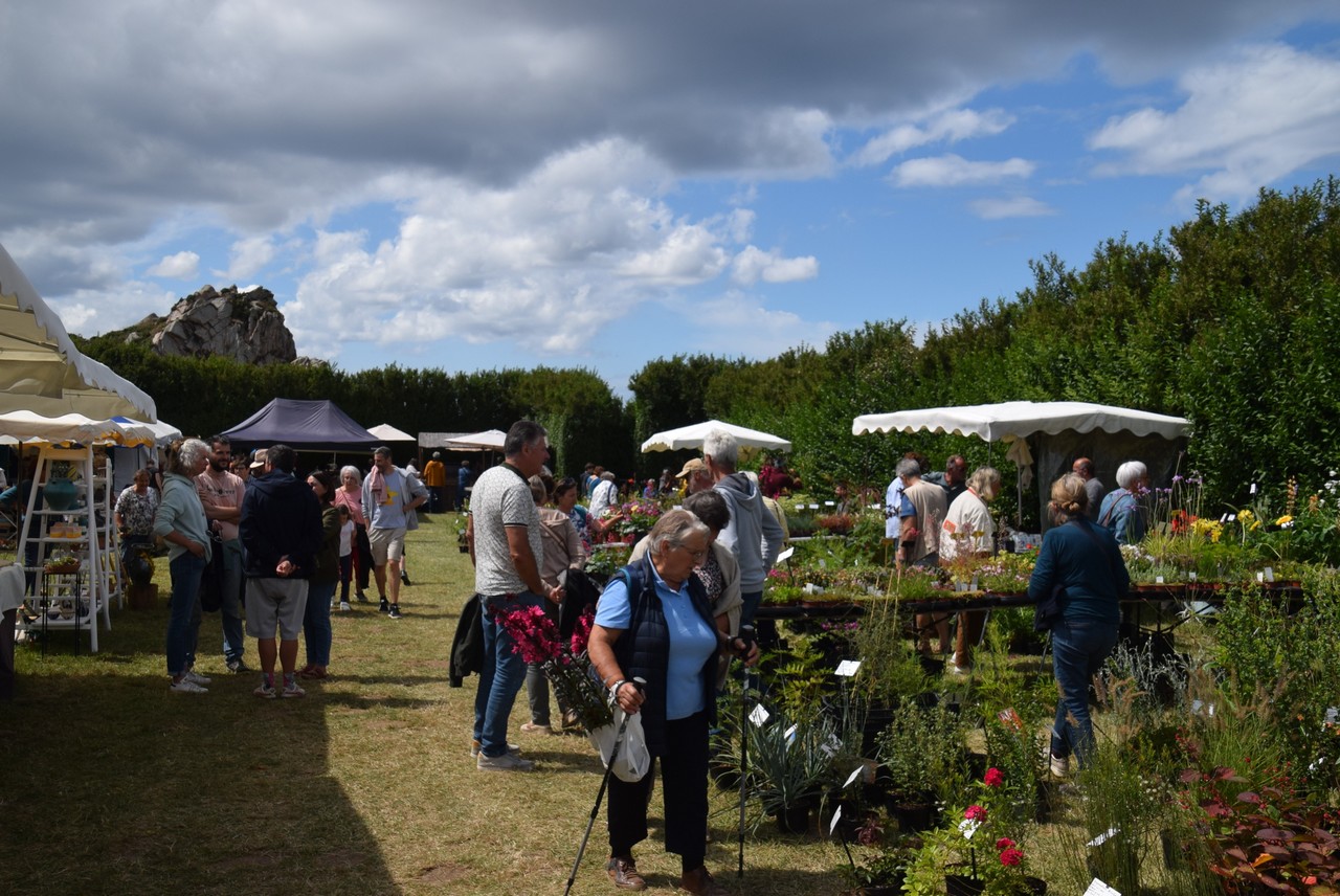 15e voyage des Plantes Pointe de Primel-Trgastel le 20 juillet 2025. Photo pyb29